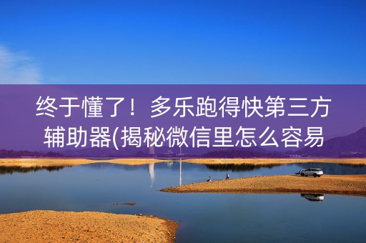 终于懂了！多乐跑得快第三方辅助器(揭秘微信里怎么容易赢)