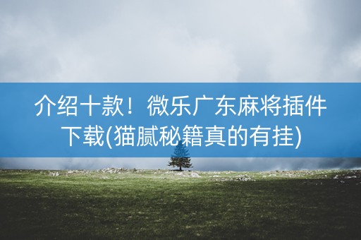 介绍十款！微乐广东麻将插件下载(猫腻秘籍真的有挂)