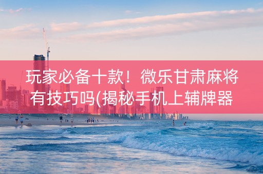玩家必备十款！微乐甘肃麻将有技巧吗(揭秘手机上辅牌器)