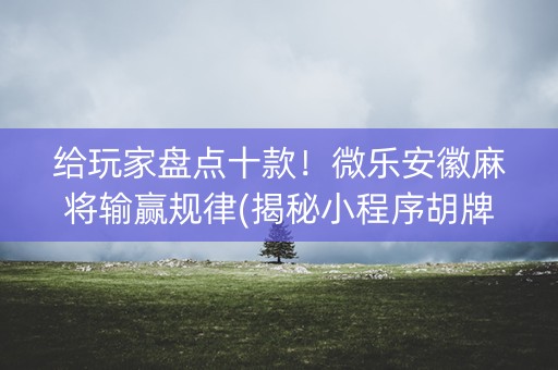 给玩家盘点十款！微乐安徽麻将输赢规律(揭秘小程序胡牌技巧)