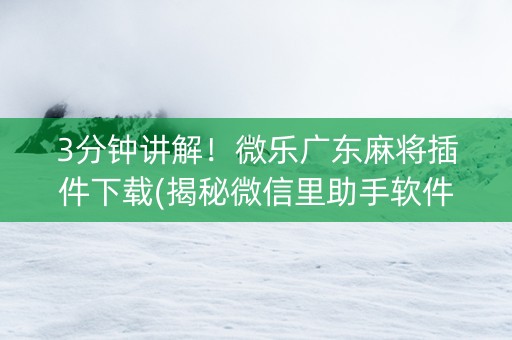 3分钟讲解！微乐广东麻将插件下载(揭秘微信里助手软件)