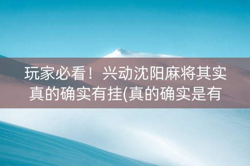 玩家必看！兴动沈阳麻将其实真的确实有挂(真的确实是有挂)