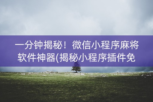 一分钟揭秘！微信小程序麻将软件神器(揭秘小程序插件免费)