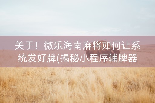 关于！微乐海南麻将如何让系统发好牌(揭秘小程序辅牌器)