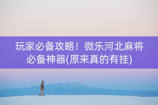 玩家必备攻略！微乐河北麻将必备神器(原来真的有挂)