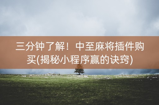 三分钟了解！中至麻将插件购买(揭秘小程序赢的诀窍)