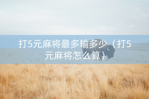 打5元麻将最多输多少（打5元麻将怎么算）