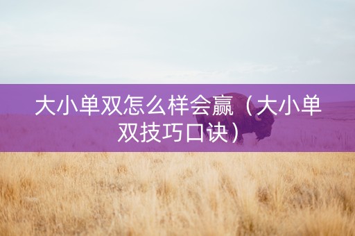 大小单双怎么样会赢（大小单双技巧口诀）