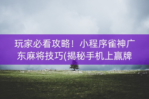 玩家必看攻略！小程序雀神广东麻将技巧(揭秘手机上赢牌技巧)