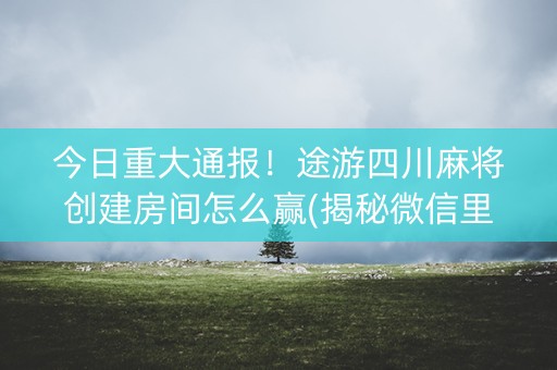 今日重大通报！途游四川麻将创建房间怎么赢(揭秘微信里系统发好牌)