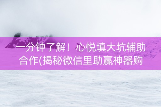 一分钟了解！心悦填大坑辅助合作(揭秘微信里助赢神器购买)