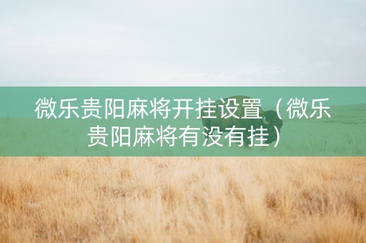 微乐贵阳麻将开挂设置（微乐贵阳麻将有没有挂）