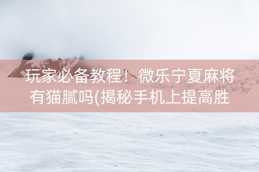 玩家必备教程！微乐宁夏麻将有猫腻吗(揭秘手机上提高胜率)