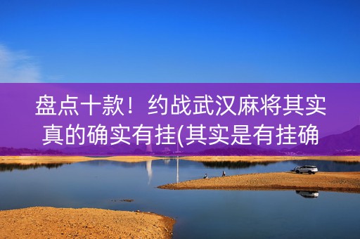 盘点十款！约战武汉麻将其实真的确实有挂(其实是有挂确实有挂)