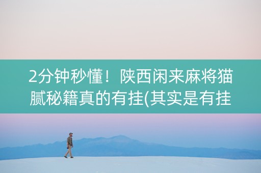 2分钟秒懂！陕西闲来麻将猫腻秘籍真的有挂(其实是有挂的)