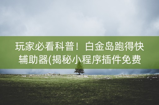 玩家必看科普！白金岛跑得快辅助器(揭秘小程序插件免费)