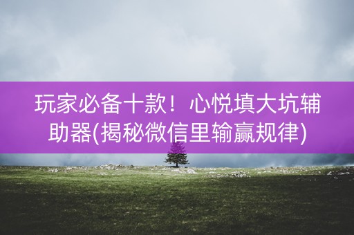 玩家必备十款！心悦填大坑辅助器(揭秘微信里输赢规律)