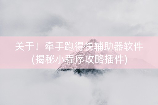 关于！牵手跑得快辅助器软件(揭秘小程序攻略插件)