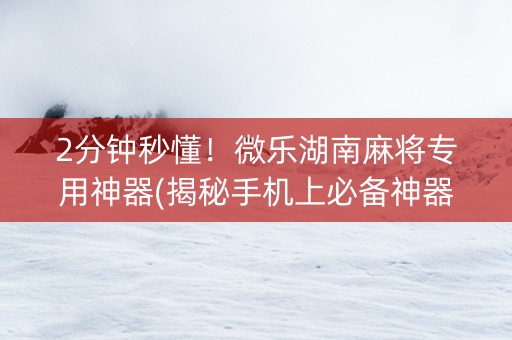 2分钟秒懂！微乐湖南麻将专用神器(揭秘手机上必备神器)