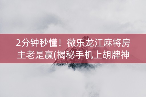 2分钟秒懂！微乐龙江麻将房主老是赢(揭秘手机上胡牌神器)