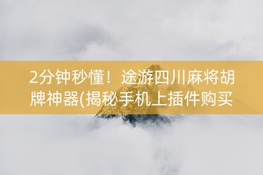 2分钟秒懂！途游四川麻将胡牌神器(揭秘手机上插件购买)