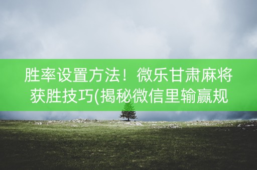 胜率设置方法！微乐甘肃麻将获胜技巧(揭秘微信里输赢规律)