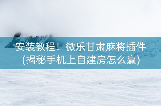 安装教程！微乐甘肃麻将插件(揭秘手机上自建房怎么赢)