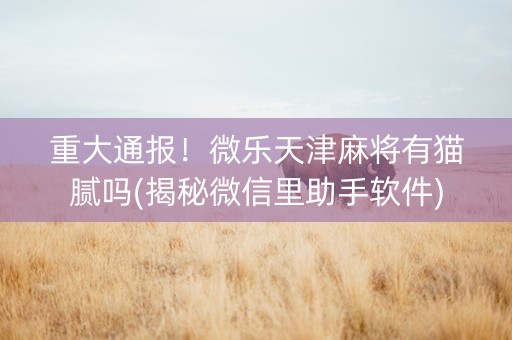 重大通报！微乐天津麻将有猫腻吗(揭秘微信里助手软件)