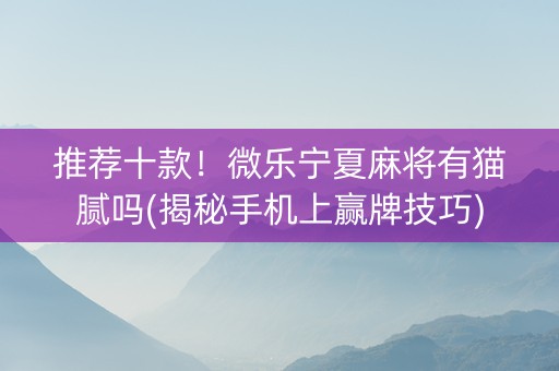 推荐十款！微乐宁夏麻将有猫腻吗(揭秘手机上赢牌技巧)