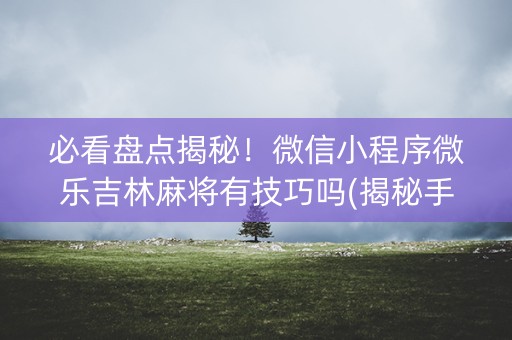 必看盘点揭秘！微信小程序微乐吉林麻将有技巧吗(揭秘手机上专用神器)