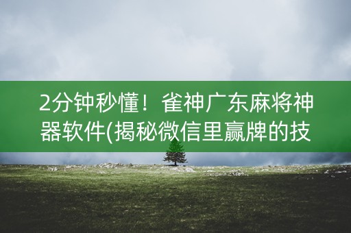 2分钟秒懂！雀神广东麻将神器软件(揭秘微信里赢牌的技巧)