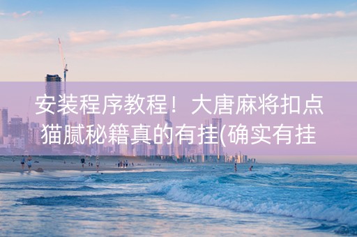 安装程序教程！大唐麻将扣点猫腻秘籍真的有挂(确实有挂)