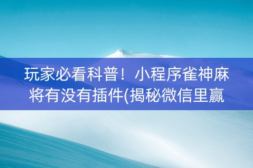 玩家必看科普！小程序雀神麻将有没有插件(揭秘微信里赢牌的技巧)
