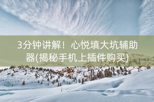 3分钟讲解！心悦填大坑辅助器(揭秘手机上插件购买)