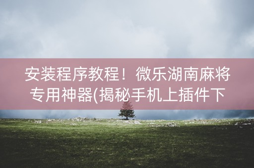 安装程序教程！微乐湖南麻将专用神器(揭秘手机上插件下载)