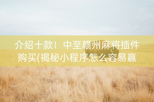 介绍十款！中至赣州麻将插件购买(揭秘小程序怎么容易赢)