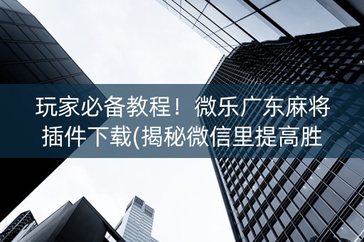 玩家必备教程！微乐广东麻将插件下载(揭秘微信里提高胜率)