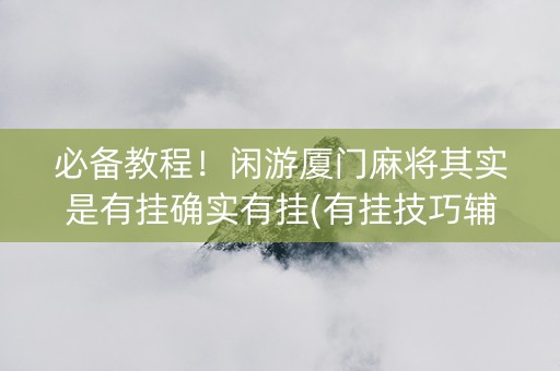 必备教程！闲游厦门麻将其实是有挂确实有挂(有挂技巧辅助器)