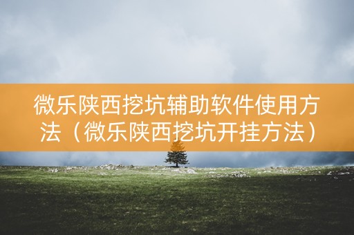 微乐陕西挖坑辅助软件使用方法（微乐陕西挖坑开挂方法）