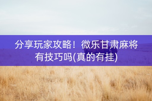 分享玩家攻略！微乐甘肃麻将有技巧吗(真的有挂)