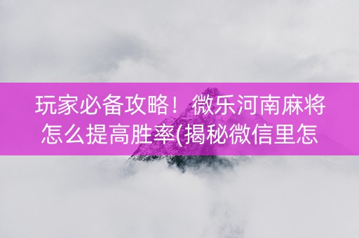 玩家必备攻略！微乐河南麻将怎么提高胜率(揭秘微信里怎么容易赢)