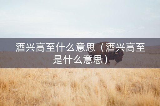 酒兴高至什么意思（酒兴高至是什么意思）