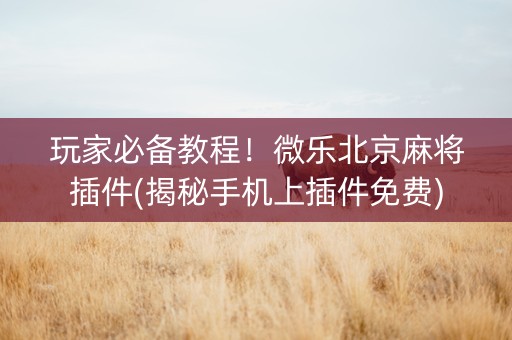 玩家必备教程！微乐北京麻将插件(揭秘手机上插件免费)