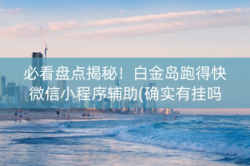 必看盘点揭秘！白金岛跑得快微信小程序辅助(确实有挂吗)