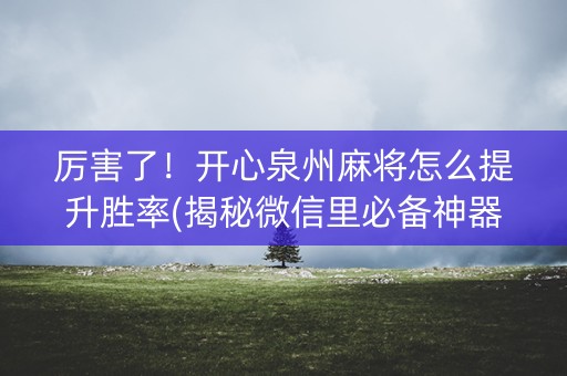厉害了！开心泉州麻将怎么提升胜率(揭秘微信里必备神器)