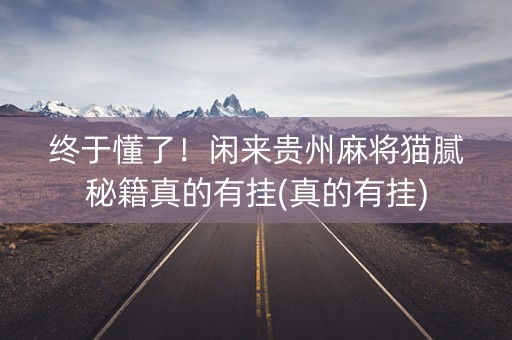 终于懂了！闲来贵州麻将猫腻秘籍真的有挂(真的有挂)