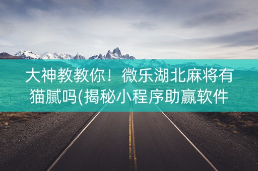 大神教教你！微乐湖北麻将有猫腻吗(揭秘小程序助赢软件)