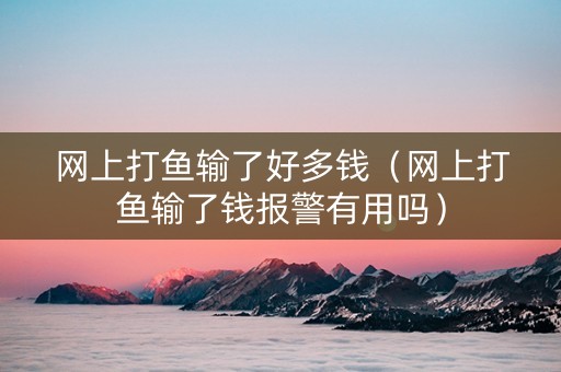 网上打鱼输了好多钱（网上打鱼输了钱报警有用吗）