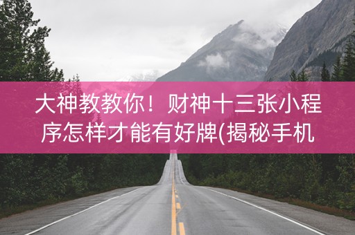 大神教教你！财神十三张小程序怎样才能有好牌(揭秘手机上辅牌器)