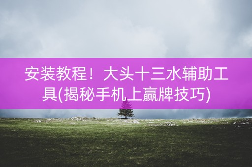 安装教程！大头十三水辅助工具(揭秘手机上赢牌技巧)